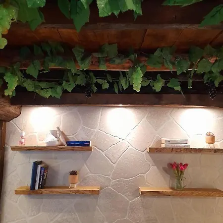 La Casa Delle Rondini Apartment